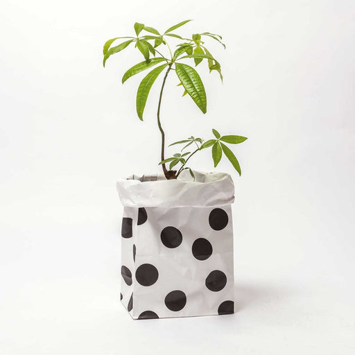 Maxi - Blockbodenbeutel L Punkte - pilzessono.shop - zauberhafte Kinderdinge