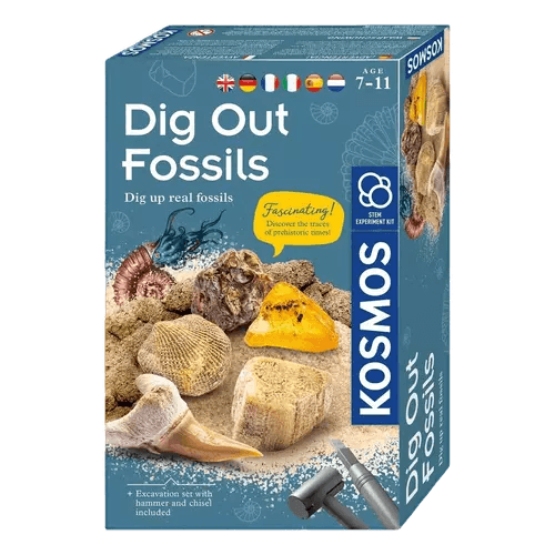 Ausgrabungsset Fossilien Dig Out Fossils - pilzessono.shop - zauberhafte Kinderdinge