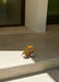 Cedric Traktor in yellow mellow / sandy von Liewood ♥ - pilzessono.shop - zauberhafte Kinderdinge