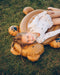 ⋙ Cody Schwimmtier | Mr bear golden caramel von Liewood ♥ - pilzessono.shop - zauberhafte Kinderdinge