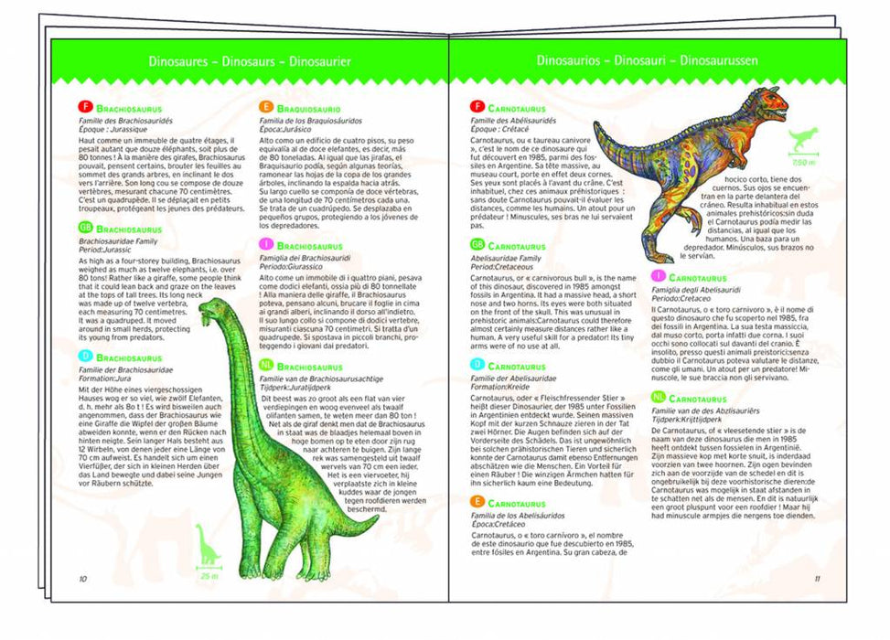 Dinosaurier Puzzle Observation von Djeco - pilzessono.shop - zauberhafte Kinderdinge