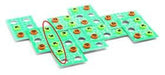 Djeco Tic Tac Cats bei Pilzessin - pilzessono.shop
