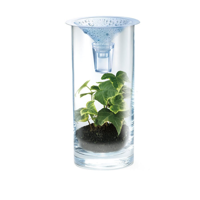 Experimentierkasten Sauberes Wasser - pilzessono.shop - zauberhafte Kinderdinge