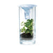 Experimentierkasten Sauberes Wasser - pilzessono.shop - zauberhafte Kinderdinge