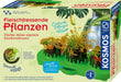 Fleischfressende Pflanzen - pilzessono.shop - zauberhafte Kinderdinge