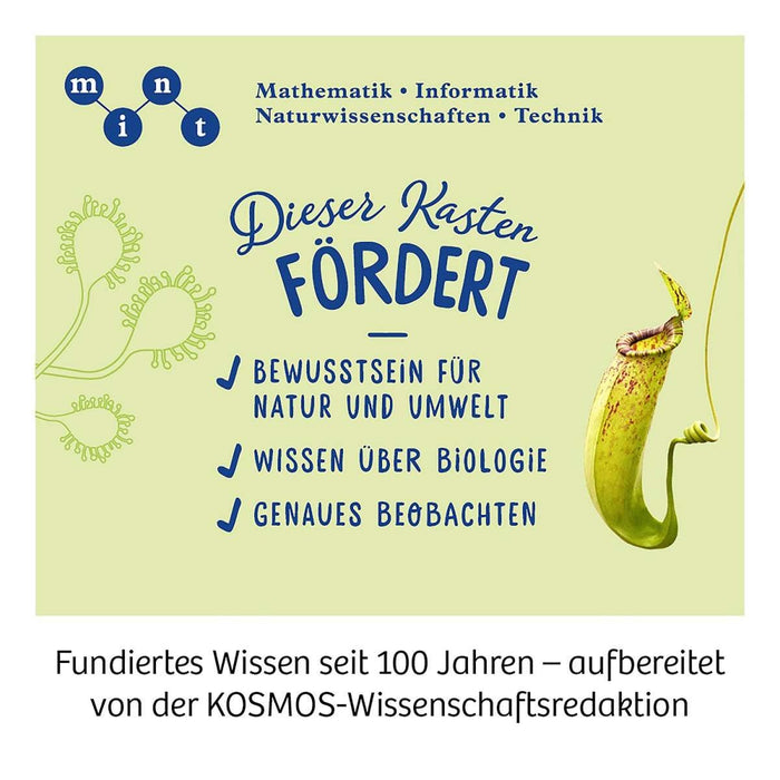 Fleischfressende Pflanzen - pilzessono.shop - zauberhafte Kinderdinge