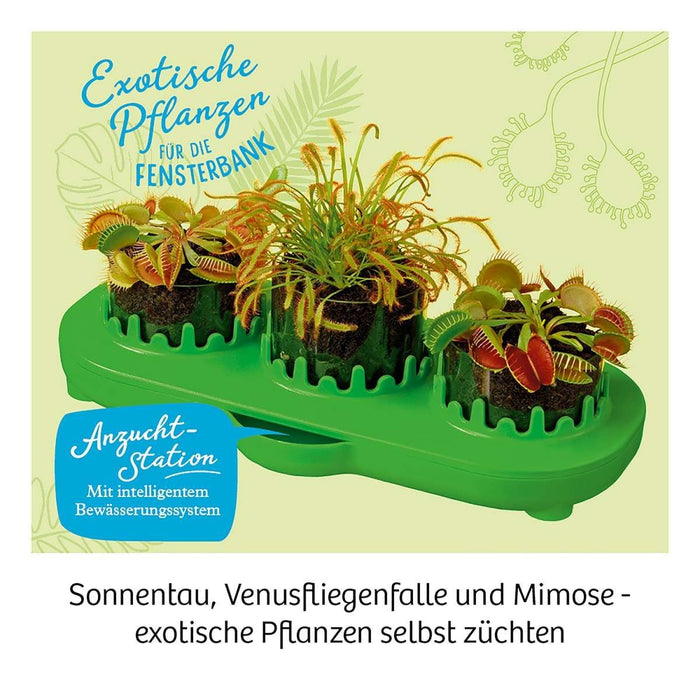 Fleischfressende Pflanzen - pilzessono.shop - zauberhafte Kinderdinge