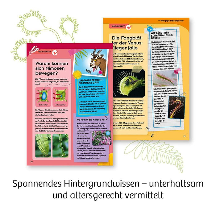 Fleischfressende Pflanzen - pilzessono.shop - zauberhafte Kinderdinge