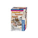 Fossilien - Experimentierkasten - pilzessono.shop - zauberhafte Kinderdinge