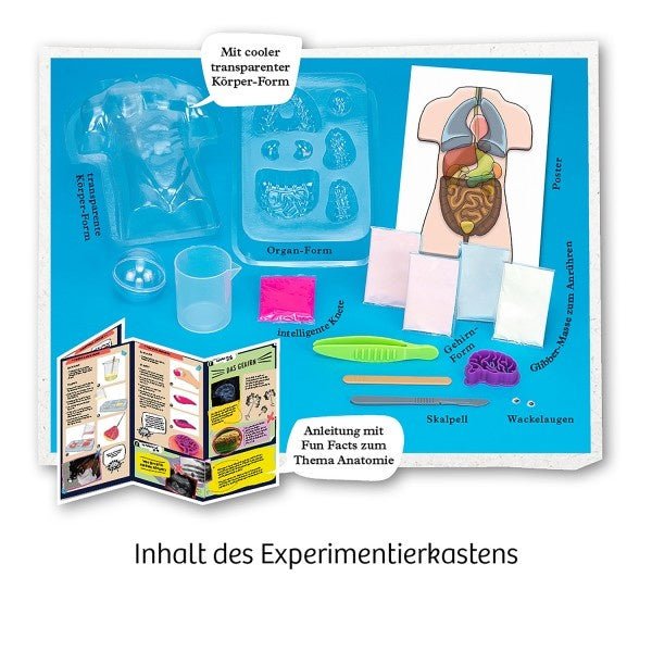 Fun Science Glibber-Organe - pilzessono.shop - zauberhafte Kinderdinge
