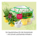 Kräuter-Garten - pilzessono.shop - zauberhafte Kinderdinge