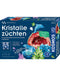 Kristalle züchten - pilzessono.shop - zauberhafte Kinderdinge