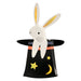 Magische Hasenteller von Meri Meri ♡ - pilzessono.shop