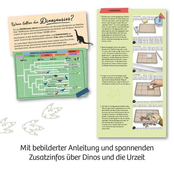 Nachtleuchtendes Ausgrabungsset T-Rex - pilzessono.shop