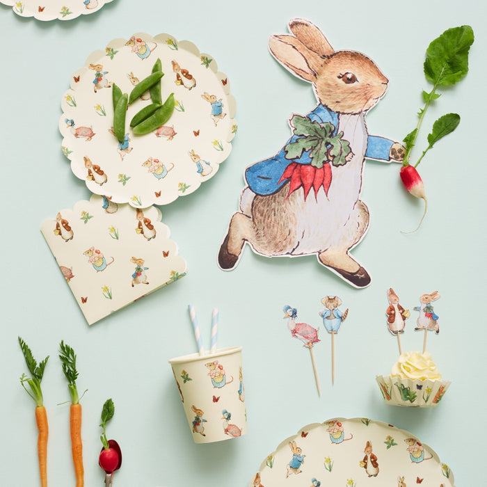 Peter Rabbit Teller von Meri Meri ♡ - pilzessono.shop - zauberhafte Kinderdinge