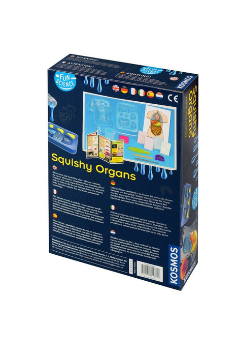 Squishy Organs - pilzessono.shop - zauberhafte Kinderdinge