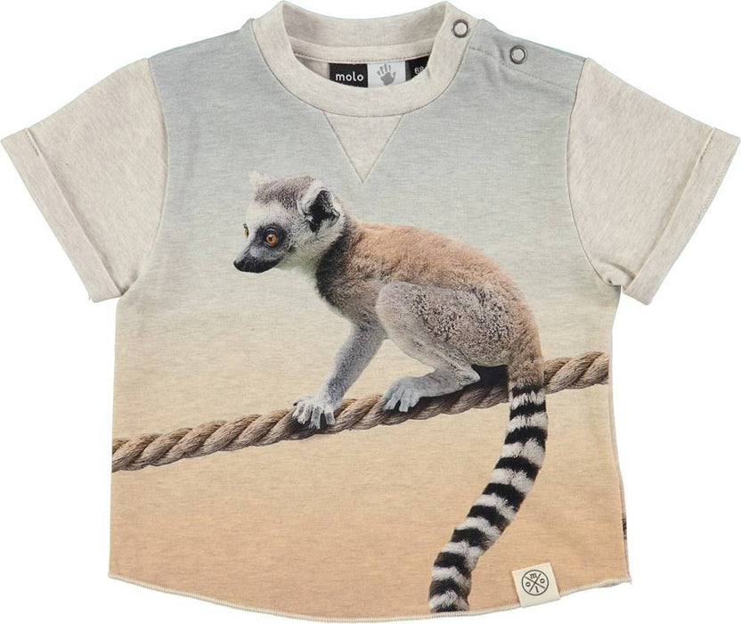 T-Shirt Ethan von Molo - pilzessono.shop - zauberhafte Kinderdinge