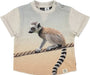 T-Shirt Ethan von Molo - pilzessono.shop - zauberhafte Kinderdinge