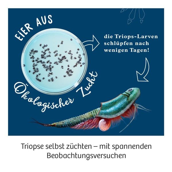 Triops-Welt zum Züchten - pilzessono.shop - zauberhafte Kinderdinge