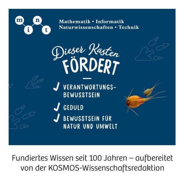 Triops-Welt zum Züchten - pilzessono.shop - zauberhafte Kinderdinge