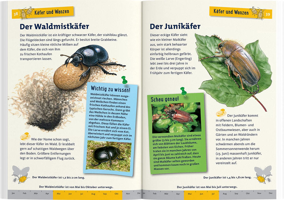 Was krabbelt denn da? Kindernaturführer - pilzessono.shop - zauberhafte Kinderdinge